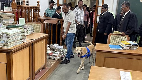 கோப்புப் படம்