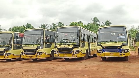 சிறப்புப் பேருந்துகள் (கோப்புப்படம்)