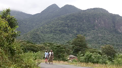 வனப்பரப்பு அதிகரிப்பு: உலக அளவில் 9-வது இடத்துக்கு முன்னேறியது இந்தியா