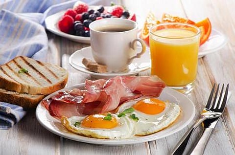 High protein foods