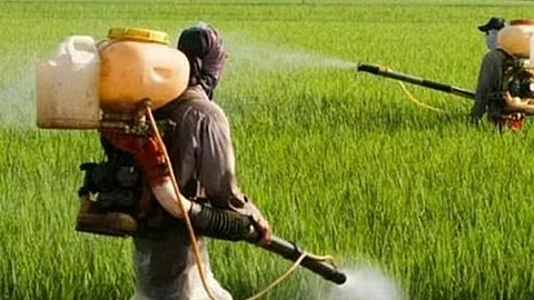 சீனாவில் இருந்து உர இறக்குமதி கடும் சரிவு!