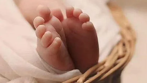 பிரதிப் படம்