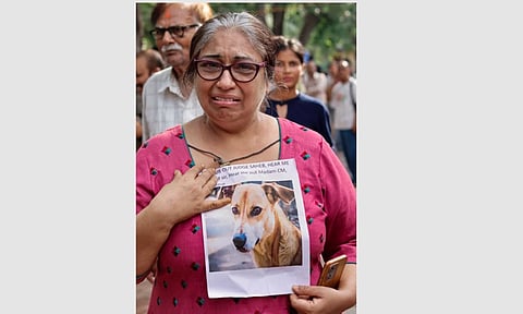 தெருநாய்களை துன்புறுத்தக் கூடாது என்று வலியுறுத்தி புது தில்லியில் செவ்வாய்க்கிழமை நடைபெற்ற பேரணியில் பங்கேற்ற பெண்மணி.