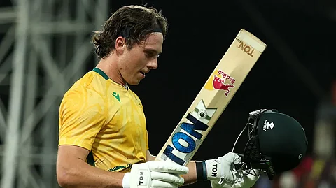 Dewald Brevis