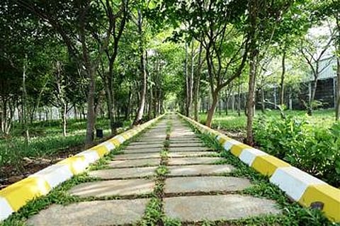 ஹுண்டாய் சாா்பில் 12 ஏக்கரில் 5,500 மரங்களுடன் குறுங்காடு