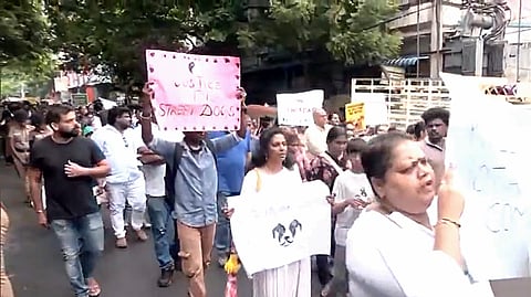 சென்னையில் விலங்கு ஆர்வலர்கள் போராட்டம்