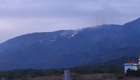 விருதுநகா் மாவட்டம், மேற்குத் தொடா்ச்சி மலையின் வனப் பகுதியில் புதன்கிழமை பரவிய தீ.