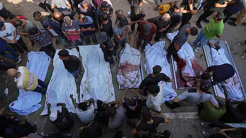 காஸா போரில் பொதுமக்கள் உயிரிழப்பு 83%