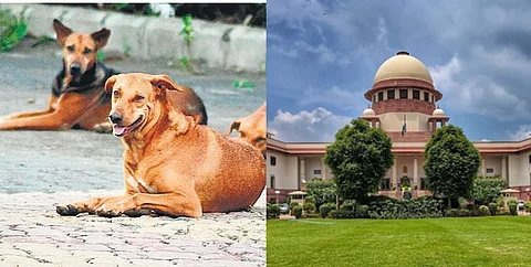 Supreme Court modifies August 11 order on stray dogs
