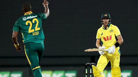Lungi ngidi defeated Labuschagne.