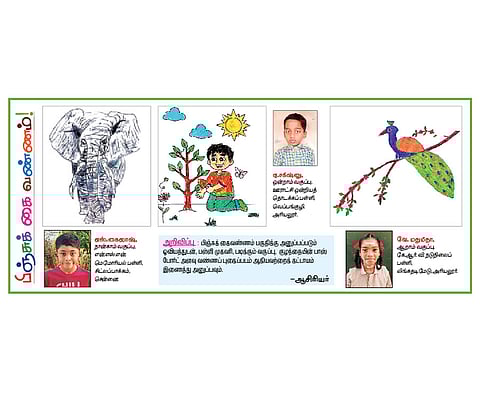 பிஞ்சுக் கைவண்ணம்