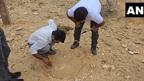 டைனோசார் கால புதைபடிமம் ராஜஸ்தானில் கண்டுபிடிப்பு! இங்கிலாந்துக்குப் பின் இந்தியாவில்...