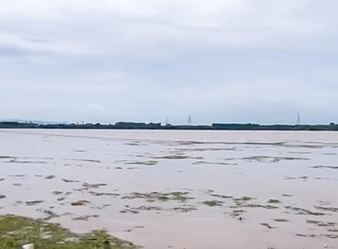 கோப்புப்படம்.