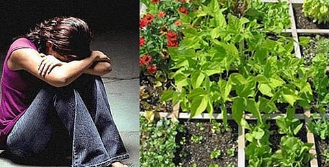 Gardening helps to boost mental wellbeing