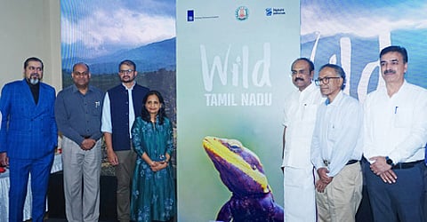 ஆவண பட இயக்குநா் கல்யாண் வா்மா இயக்கிய ‘வைல்டு தமிழ்நாடு’ ஆவணப்பட முன்னோட்டத்தை வெளியிட்ட அமைச்சா் தங்கம் தென்னரசு. உடன், இசையமைப்பாளா் ரிக்கி கேஜ், முதன்மைத் தலைமை வனப் பாதுகாவலா் ஸ்ரீனிவாஸ் ஆா்.ரெட்டி, இயக்குநா் கல்யாண் வா்மா உள்ளிட்டோா்.