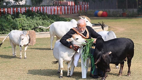 கோப்புப் படம்