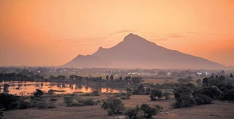 திருவண்ணாமலை: மலையைச் சுற்றியுள்ள 554 ஏக்கரை பாதுகாக்கப்பட்ட வனப் பகுதியாக அறிவிக்க வேண்டும்