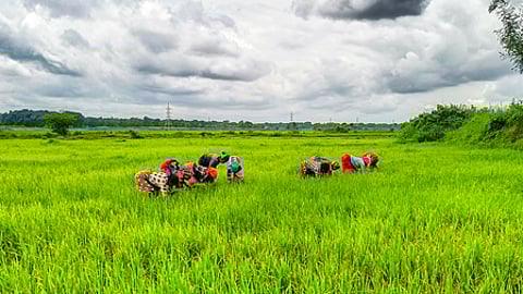 நிலம் கற்று நேரம் காப்போம்...