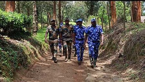 ஓவேலி பகுதியில் ராதாகிருஷ்ணன் யானையை தேடும் பணியில் ஈடுபட்டுள்ள வனத் துறையினா்.