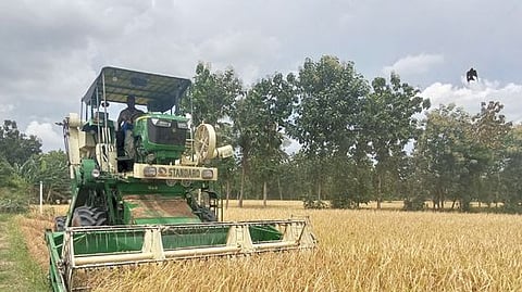 மீண்டும் விதைகள் சட்டம்!