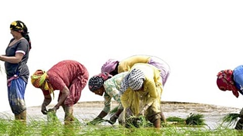ஆகஸ்டில் அதிகரித்த விவசாயிகளுக்கான பணவீக்கம்!