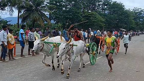 மாட்டு வண்டிப் பந்தயம்.