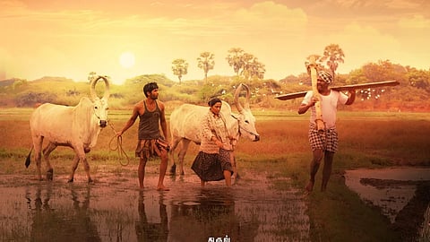 பைசன் புதிய பாடல் அப்டேட்!