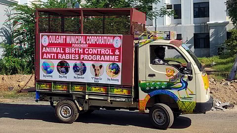 புதுச்சேரி உழவா்கரை நகராட்சி சாா்பில் இந்திரா காந்தி அரசு மருத்துவக் கல்லூரி வளாகத்தில் உள்ள தெரு நாய்களைப் பிடித்து கருத்தடை செய்யும் வாகனம்