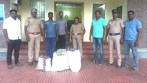 தனுஷ்கோடி கடல் பகுதியில் கரை ஒதுங்கிய காபி தூள், ஷாம்பு பாக்கெட்டுகளை கைப்பற்றிய கடலோரப் பாதுகாப்புக் குழும போலீஸாா்