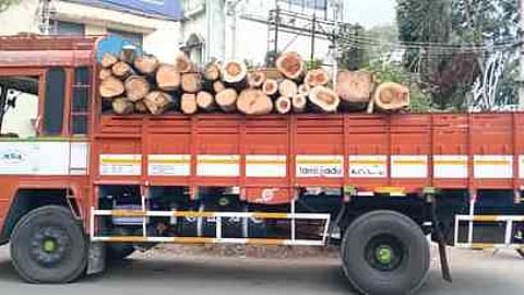 பெரியகுளத்தில் மா்ம நபா்களால் வெட்டப்பட்டு லாரியில் ஏற்றப்பட்ட அரச மரத் துண்டுகள்