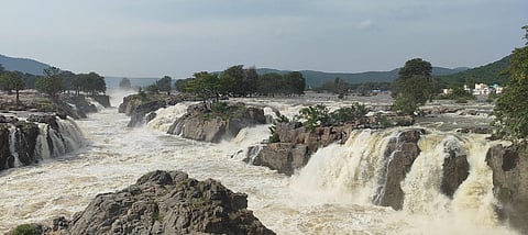 இரு மாநில காவிரி நீர் பிடிப்புப் பகுதிகளில் பெய்த மழையின் காரணமாக நீர்வரத்து அதிகரித்து வெள்ளப்பெருக்கு ஏற்பட்டுள்ளதால் ஒகேனக்கல் ஐவார் பாணியில் ஆர்ப்பரித்துக் கொட்டும் தண்ணீர்.