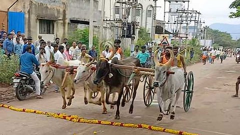 கம்பத்தில் புதன்கிழமை நடைபெற்ற இரட்டை மாட்டு வண்டிப் பந்தயத்தில் சீறிப் பாய்ந்து சென்ற காளைகள்.