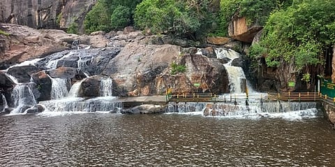 புதன்கிழமை காலை நீா்வரத்து அதிகரித்திருந்த மணிமுத்தாறு அருவி.