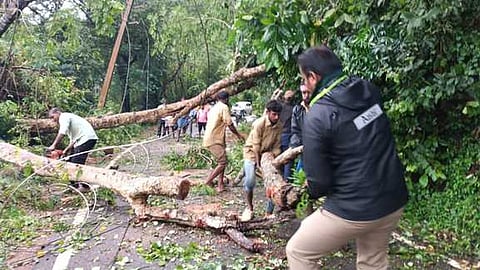 குமரியில் கனமழை: சாய்ந்த மரங்களால் போக்குவரத்து பாதிப்பு