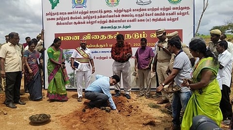 மல்லகுண்டாவில் பனை விதைகள் நடவு