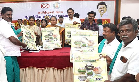 சவுக்கு மரங்களுக்கு கூடுதல் விலை கிடைக்க நடவடிக்கை தேவை