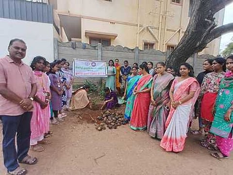 பனை விதைகளை நடவு செய்த மாணவிகள்.