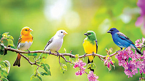 தெரியுமா?