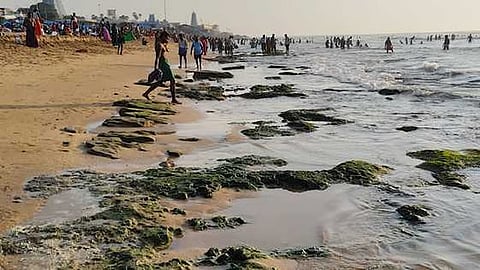 கோப்புப்படம்.