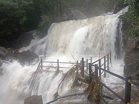 சுருளி அருவியில் செவ்வாய்க்கிழமை ஏற்பட்ட வெள்ளப்பெருக்கு.