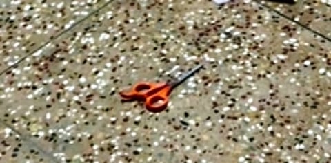 சிறுவன் தாக்குதலுக்குப் பயன்படுத்திய கத்திரிகோல்.