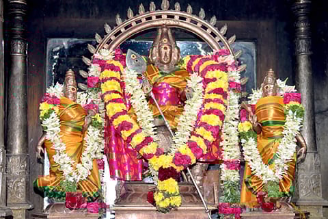 பழனி தண்டாயுதபாணி சுவாமி கோயிலில் கந்த சஷ்டி விழாவையொட்டி, சா்வ அலங்காரத்தில் அருள்பாலித்த வள்ளி, தெய்வானை சமேதா் சண்முகா்.