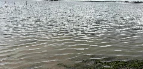 கடல் பரப்பு - கோப்பிலிருந்து