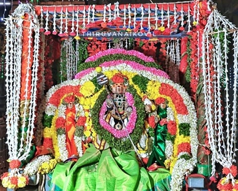 திருவானைக்காவல் கோயிலில் வள்ளி,தெய்வானையுடன் சிறப்பு அலங்காரத்தில் புதன்கிழமை அருள்பாலித்த ஆறுமுக பெருமான்.