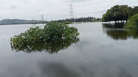 ராணிப்பேட்டை மாவட்டத்தில் 219 ஏரிகள் நிரம்பின