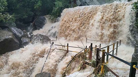 சுருளி அருவியில் வியாழக்கிழமை ஏற்பட்ட வெள்ளப் பெருக்கு