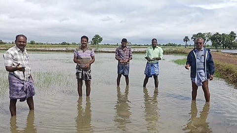 திருக்குவளை பகுதியில் பெய்த  வடகிழக்குப் பருவமழையால் பயிர்களே தெரியாத அளவில் மழை நீர் சூழ்ந்து வெள்ளக்காடக காட்சியளிக்கும் விளைநிலங்கள்.