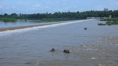 முக்கொம்பு அணையிலிருந்து திறக்கப்பட்டு, கம்பரசம்பேட்டை தடுப்பணையை நிரப்பி பாய்ந்தோடும் காவிரி நீா்.