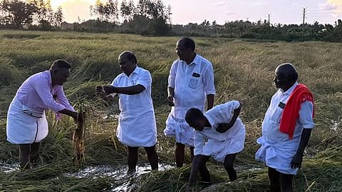 ஈசனூா் பகுதியில் பாதிக்கப்பட்ட நெற்பயிா்களை பாா்வையிட்ட எம்பி வை. செல்வராஜ்