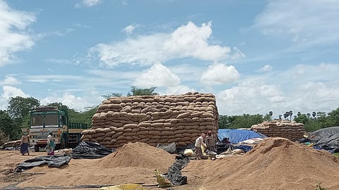 நெல்லை காய வைக்கும் பணியில் ஈடுபட்ட விவசாயிகள்